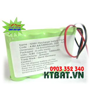 Recharge Baterries Pack 4,8V-AA1200mAh