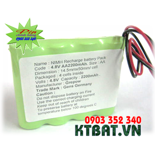Recharge Baterries Pack 4,8V-AA2200mAh
