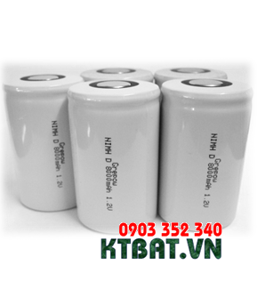 NiCd 1,2v D8000mAh Baterry