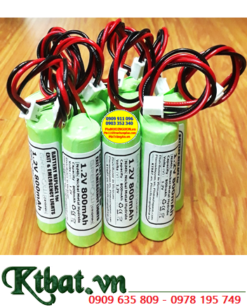 Pin đèn Exit thoát hiểm 1.2v 800mAh, Pin đèn sự cố khẩn cấp 1.2v 800mAh, Pin sạc NiMh 1.2v AA800mAh